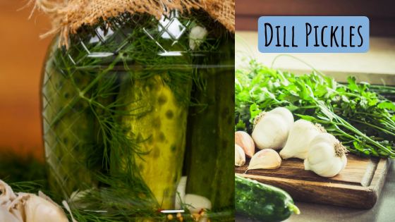 dill pickles