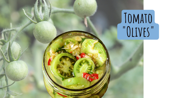 tomato olives- the solution for your green cherry tomatoes.